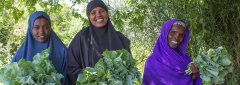 Supporting Women Farmers in africa